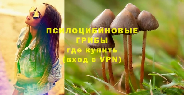 гидра Балахна